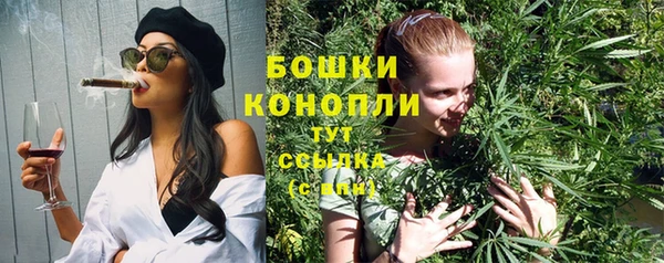 spice Осташков