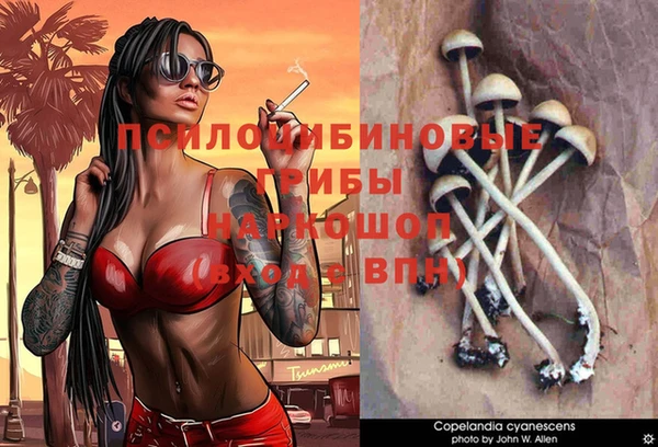 СК Остров