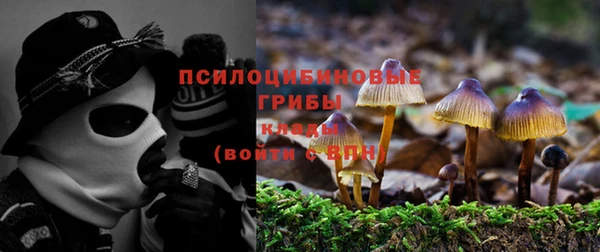 PSILOCYBIN Дмитриев