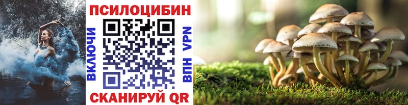 kraken как войти  Опочка  Псилоцибиновые грибы Magic Shrooms 
